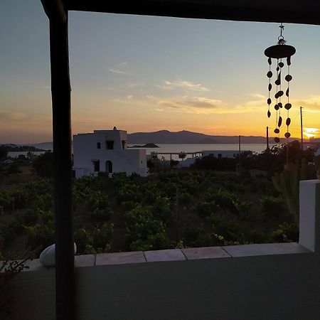 Matina'S Vineyard Hotell Mikri Vigla Rum bild